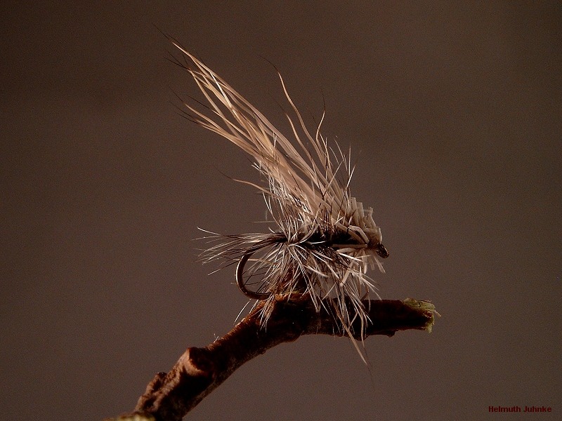 Buck Caddis by Helmuth