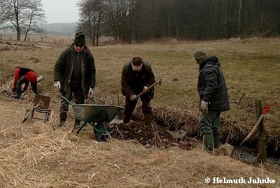 Für großes Bild bitte Klicken