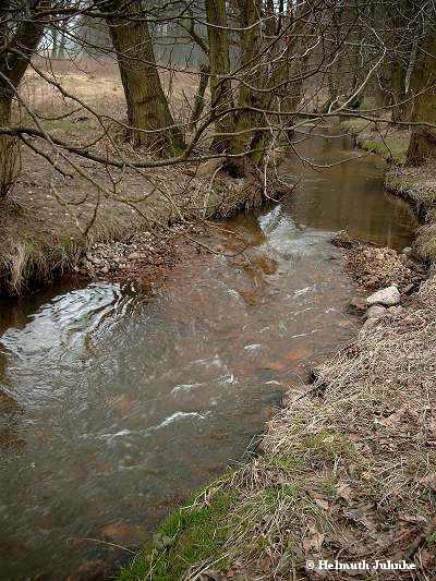 Für großes Bild bitte Klicken