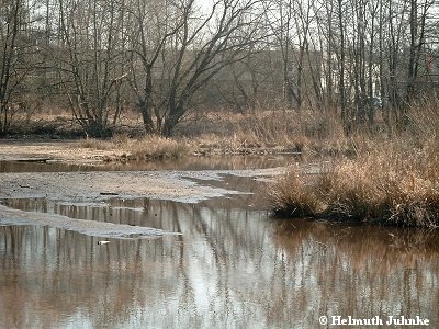 Für großes Bild bitte Klicken