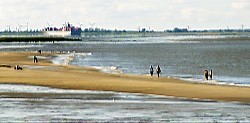 Unbedenklich: Der Spaziergang am Elbstrand oder das Bad im Wasser wie hier vor Krautsand ist unbedenklich.  Foto: Ruhl