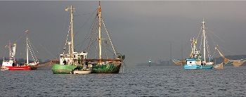 Elbfischer bei einer Protestaktion gegen die Elbvertiefung vor Blankenese im Frühjahr, rechts der Kutter Ostetal von Walter Zeeck. Foto: Schmidt