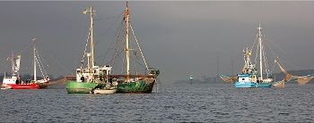 Elbfischer bei einer Protestaktion gegen die Elbvertiefung vor Blankenese im Frühjahr, rechts der Kutter Ostetal von Walter Zeeck.  Foto: Schmidt