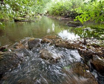 Vorbild Fredenbecker Mühlenbach: Durch einen Bypass wurde die Mühle für Fische wieder passierbar. Foto:  Schmidt