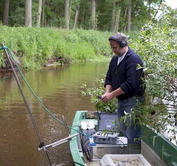 Mit einem Ultraschallempfänger folgt Biologe Frank Fredrich den Jung-Stören zunächst mit dem Boot.