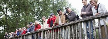 Schaulustige auf der Ostebrücke bei Zeven. Sie wollen dabei sein, wenn das lebende Fossil im Fluss ausgesetzt wird.  Fotos  Schmidt