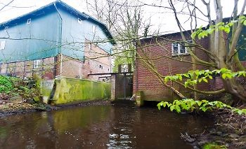 Soll für Wanderfische durchgängig gemacht werden: Der Horsterbeck an der alten Wassermühle in Himmelpforten.