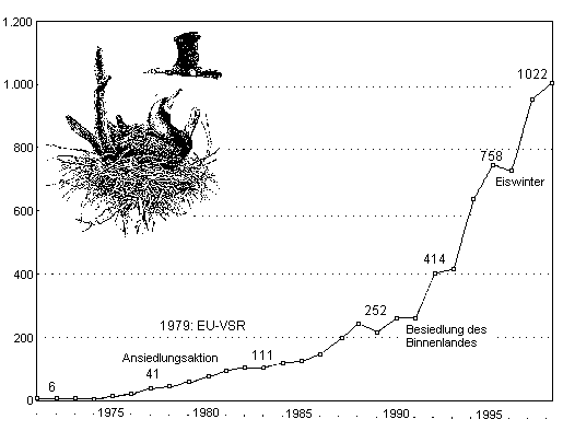 Kormoran.gif (12051 Byte)